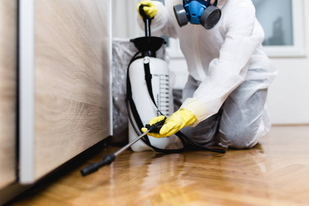 Best Pest Control Near Me  in New Hempstead, NY