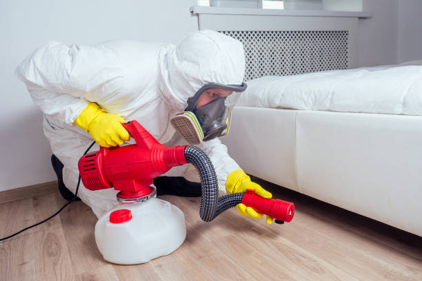 Wildlife Control Services in New Hempstead, NY