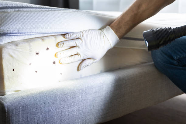 Best Best Pest Control Companies  in New Hempstead, NY