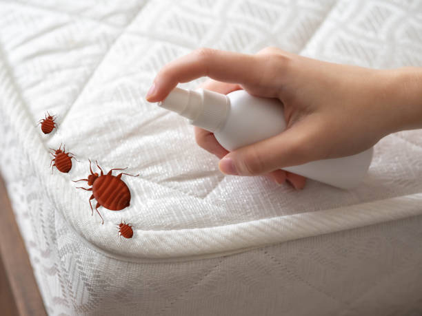Best Best Pest Control Companies  in New Hempstead, NY