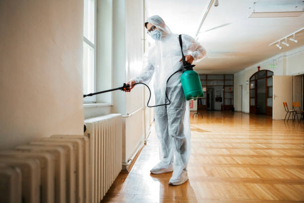 Reliable New Hempstead, NY Pest Control Solutions